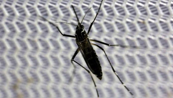 OMS investiga el aumento de microcefalias en regiones con zika