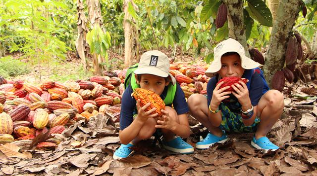 Tarapoto para niños: Ellos también pueden disfrutar de la selva - 1