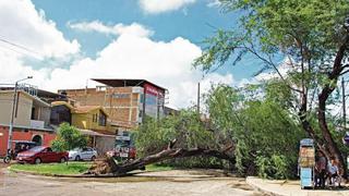 El Niño: lluvias continuarían golpeando el país hasta abril