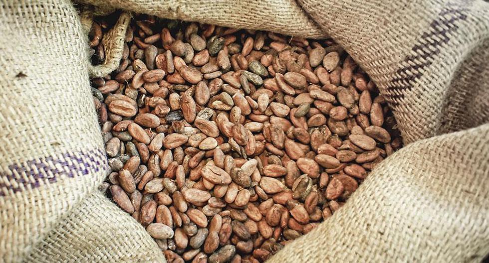 El cacao tiene muchos beneficios. (Foto: oficial)