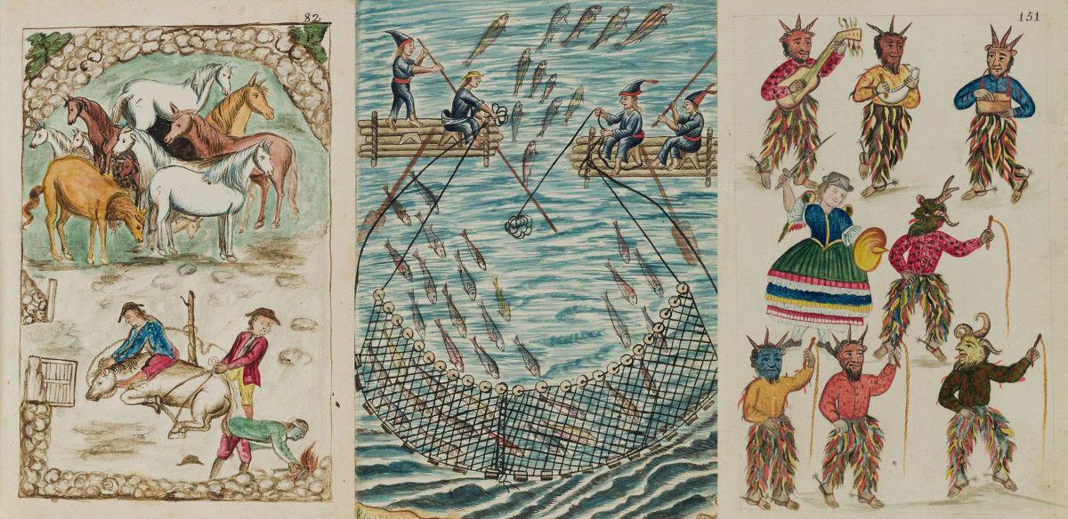 En su totalidad, el códice está formado por más de 1.400 acuarelas. El volumen que se encuentra actualmente en disputa tiene 136.