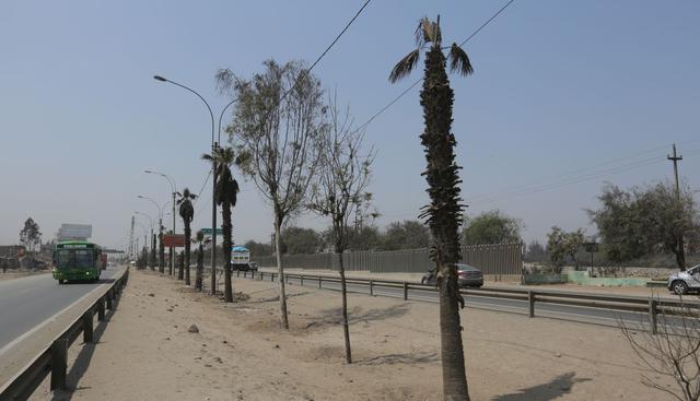 (Anthony Niño de Guzmán / El Comercio)