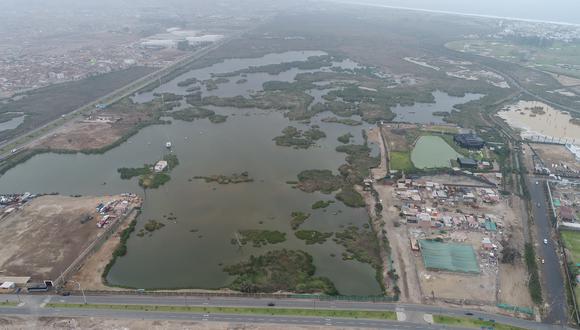 Los pantanos de Villa son un importante espacio de conservación. Los especialistas indican que en esta época del año hay fuertes corrientes migratorias de aves desde el hemisferio norte. (Foto: Bryan Albornoz)