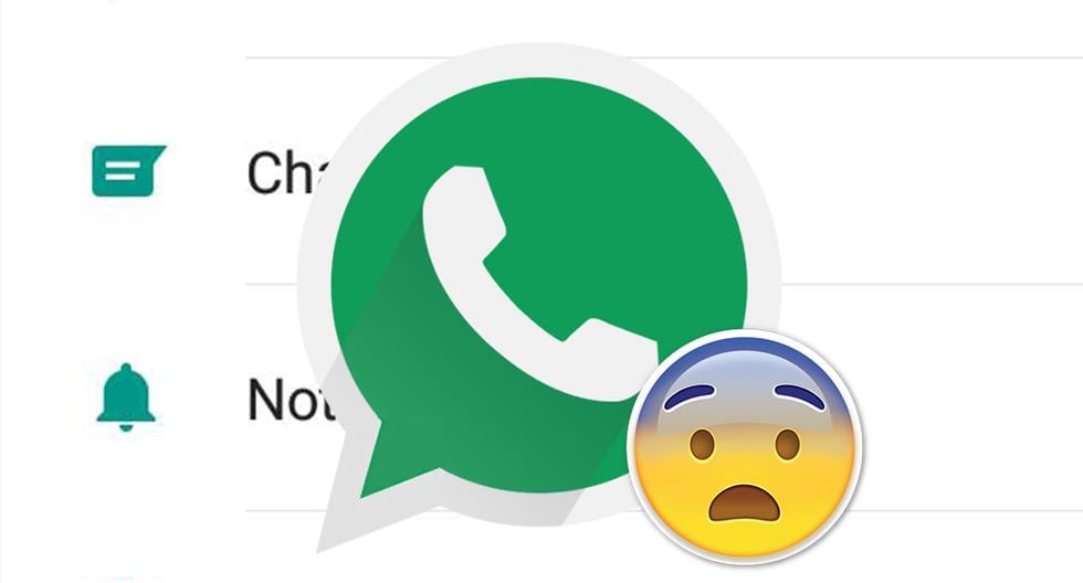¿Ya actualizaste tu WhatsApp a la nueva versión? ¡Cuidado! Te puedes quedar sin megas y sin almacenamiento. Esto es lo que debes hacer urgente. (Foto: Captura)