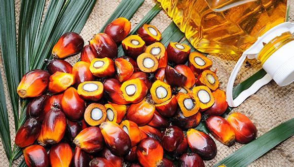 Es el tercer año consecutivo en que el aceite de palma lidera las exportaciones de la región. (Foto: IStock)