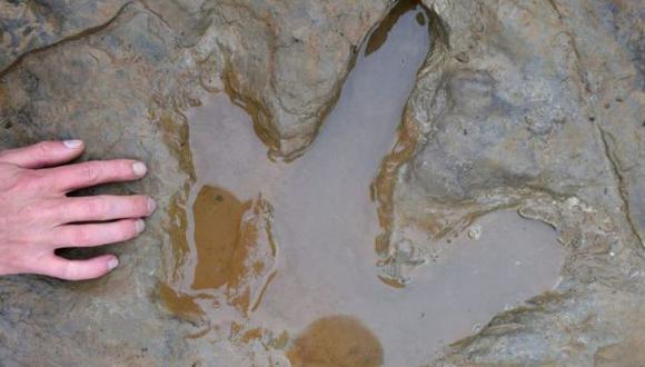 Científicos descubren raras huellas de dinosaurio en Alemania