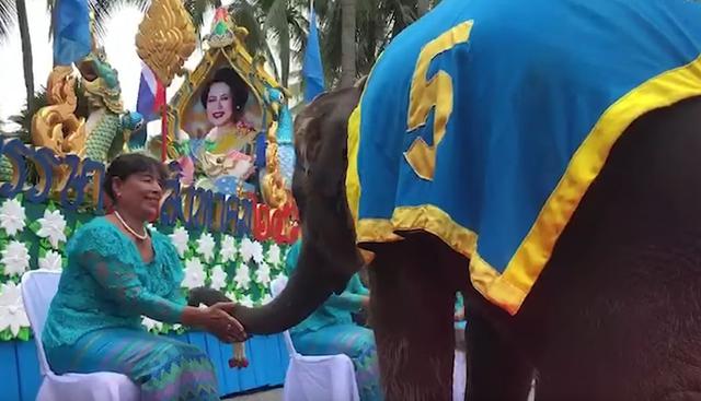 Gran sensación ha causado entre los usuarios de las redes sociales la participación de un grupo de elefantes en una celebración del Día de la Madre en Tailandia | Foto: Captura de YouTube / Viral Press