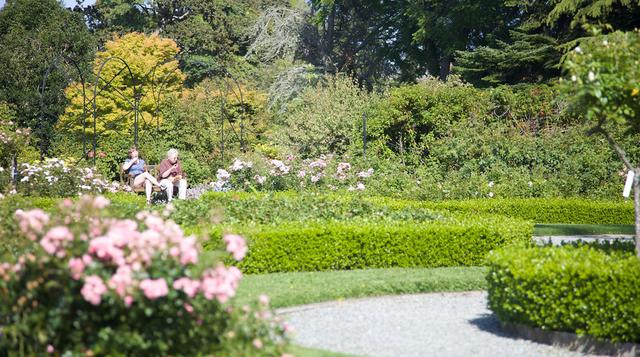 Belleza verde: estos son los mejores jardines botánicos - 5