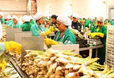 Agroexportaciones generaron 955,771 puestos de trabajo en el Perú