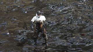 Oceana sobre derrame de petróleo en Ventanilla: “No está a la vista, pero si te metes al mar encontrarás trozos de crudo”