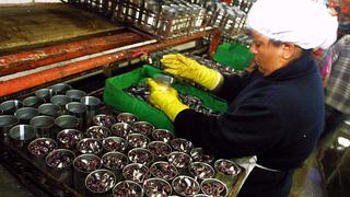 Producción de conserveras de anchoveta cae 90% en Áncash
