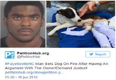 EEUU: Le prendió fuego al perro de su exnovia tras una discusión