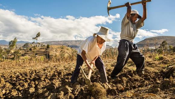 Conoce quiénes acceden al cobro de Recupérate ya, cómo puedo consultar si soy beneficiario en línea, y otros detalles sobre el apoyo económico otorgado por el MIDAGRI debido a la sequía que afectó a varias regiones del Perú en 2022. (Foto: gob.pe)