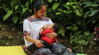 Semana Mundial de la Lactancia Materna: 6 mitos y verdades alrededor de ella