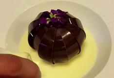 ¡Increíble! Brotan flores de un postre de chocolate (VIDEO)