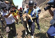 Perro rescatado de acantilado de la Costa Verde se reencontró con sus amos