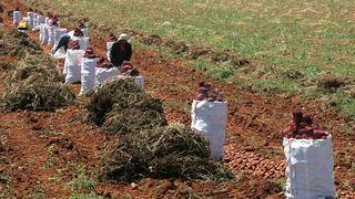 Gobierno crea comisión de seguimiento para implementar acuerdos con gremios agrarios