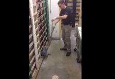 YouTube: mira cómo hombre alimenta a serpientes | VIDEO