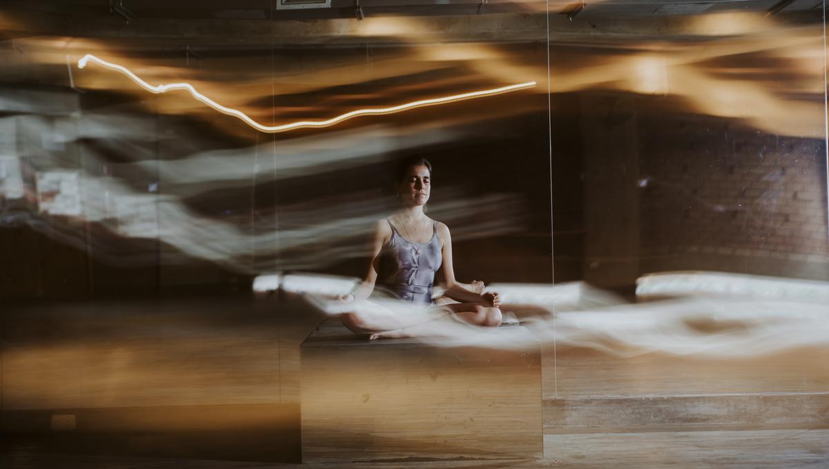 (Foto: Monarca Criollo)