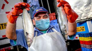Sanipes emite medidas preventivas en infraestructuras pesqueras y acuícolas para enfrentar el coronavirus