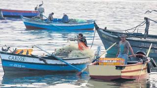 Pesca en la costa chorrillana enfrenta una dura batalla