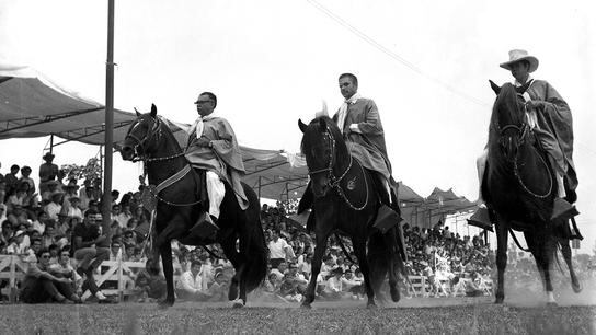 Vestidos con ponchos y sombreros de paja, los chalanes condujeron con su reconocida destreza a los caballos de paso. Foto: GEC Archivo Histórico