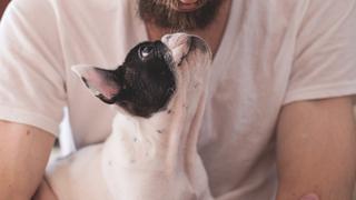 ¿Desde hace cuántos miles de años conviven los perros y los humanos? Esto dice el análisis de ADN 