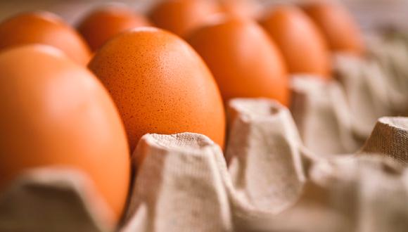Día Mundial del Huevo: ¿cuál es su origen y por qué se celebra en el mes de octubre? | Foto: Pixabay