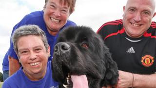 Brody, el perro que salvó la vida de su dueña al detectar que tenía cáncer