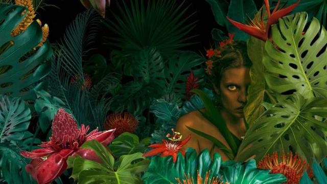 ¿La realidad depende de quien la ve? (Foto: Getty)