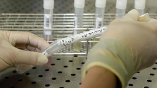 Gripe AH1N1 causa 22 muertes en Ecuador en dos meses