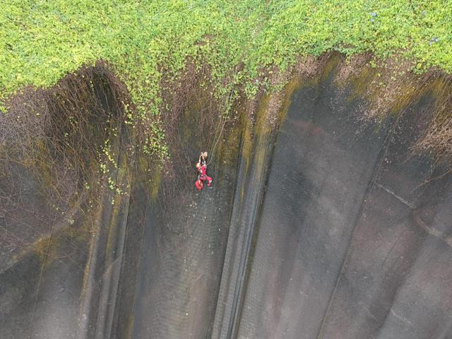 Terry quedó atrapado en la malla de la Costa Verde a la altura del Parque Miguel Grau. (Municipalidad de Miraflores)