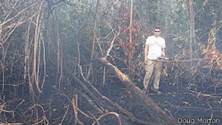 El científico que estudia los incendios ocultos del Amazonas