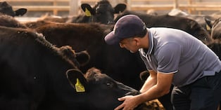 20 sobre 20 ha logrado ganarse un lugar en el corazón de los puntahermosinos, incluso cuando el frío arrecia. (Foto: 20 sobre 20)