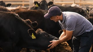 Punta Hermosa no solo es playa: el fuego de 20 sobre 20 y la flamante plaza gastronómica del distrito