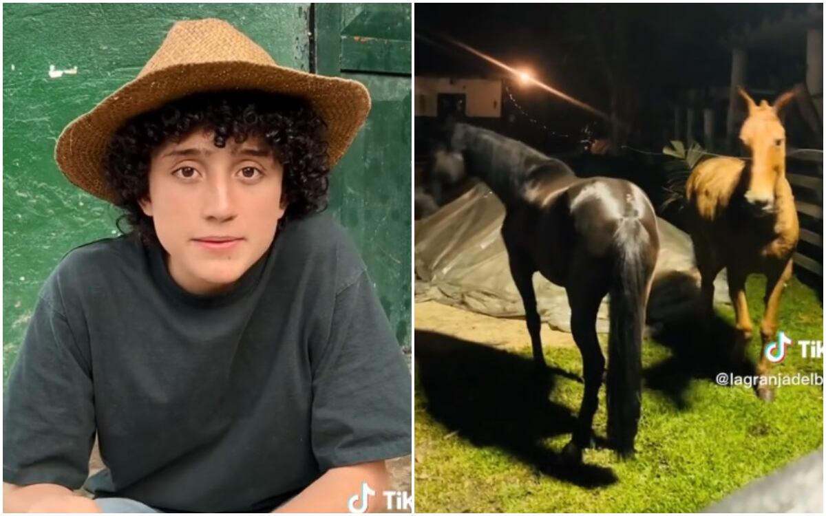 Los animales del "niño granjero" colapsaron por culpa de los fuegos artificiales. (Foto: @lagranjadelborrego / TikTok)