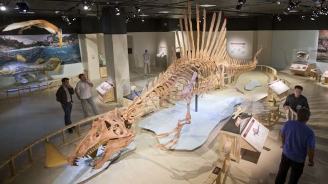 El dinosaurio depredador más grande del mundo sabía nadar