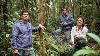 Guardianes del bosque: los guardaparques que estudian y conservan la naturaleza de la Amazonía
