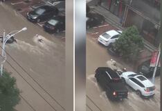 Conductores salvan a repartidor arrastrado por inundación en China