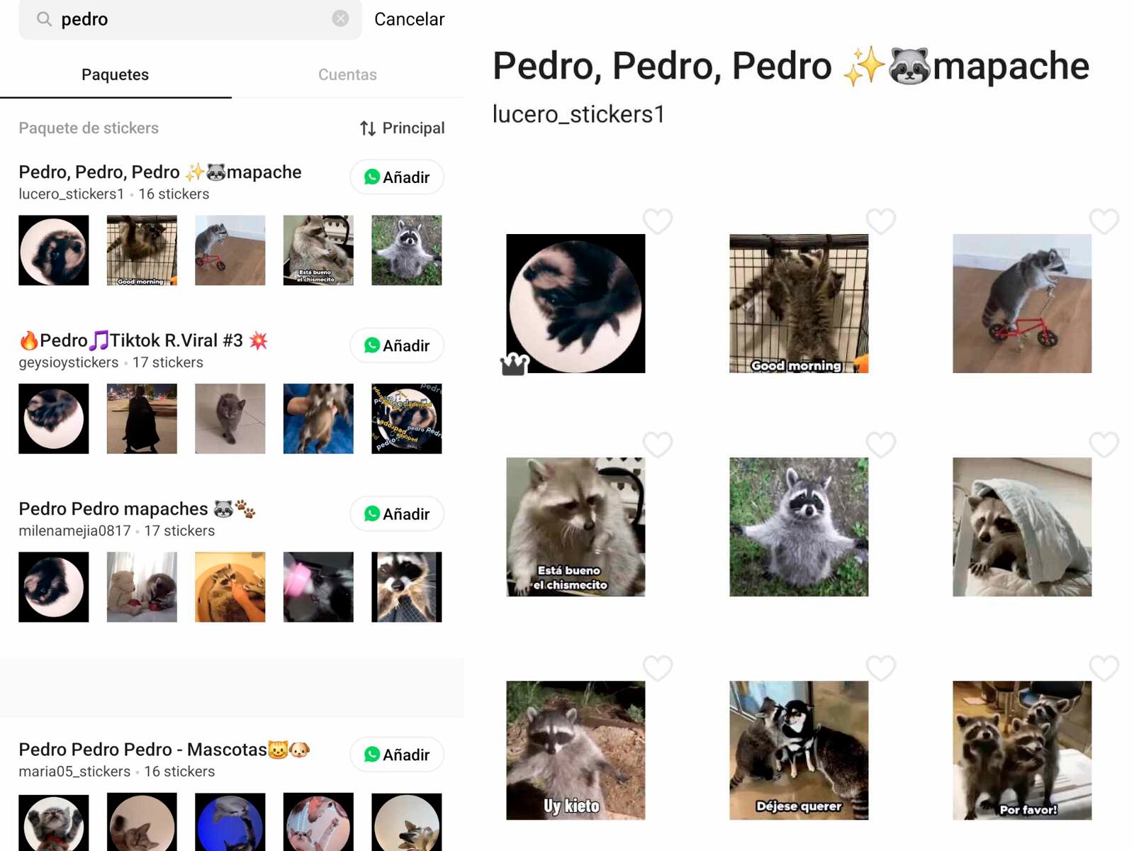 WHATSAPP | Si lo que deseas es tener al "Mapache Pedro" con audio en WhatsApp, entonces usa Sticker.ly. (Foto: MAG - Rommel Yupanqui)