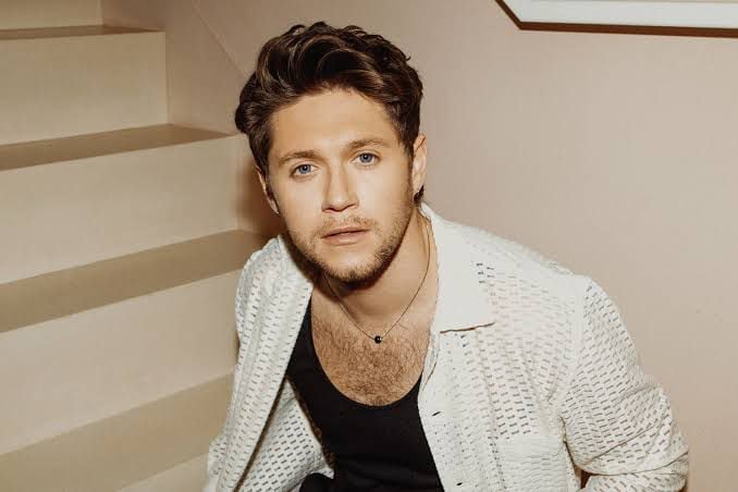 Niall Horan popularmente conocido por formar parte de la boyband One Direction ha continuado con su carrera como solista tras la separación del agrupación que conformaba junto a Harry Styles, Louis Tomlinson, Liam Payne y Zayn Malik. (Foto: Difusión)