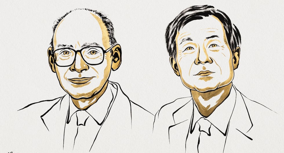 Henri Kagan y Kenso Soai ganan el Nobel de Química por descubrimiento clave para fabricar fármacos