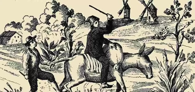 Detecta lo más rápido que puedas a la mujer, el gato y el perro para demostrar que ves en 4K