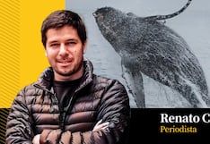 La ballena del fin del mundo