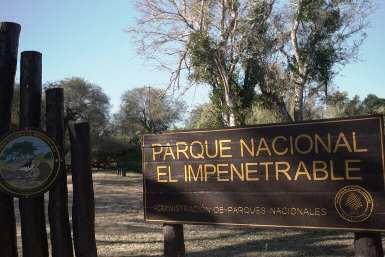 Los incendios y la deforestación en la región de Chaco han afectado severamente la seguridad alimentaria de comunidades originarias, como los Qom, Mocoví y Wichí. | Foto: Gobierno de Argentina