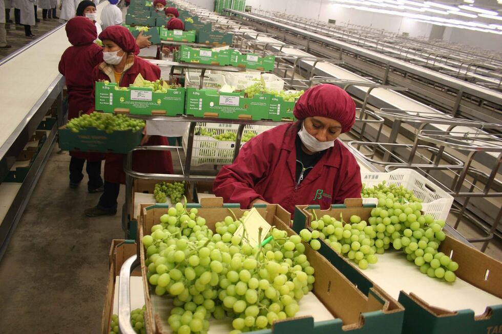 Este incremento respondió, principalmente, a los mayores puestos de trabajo generados en el comercio y los servicios, FOTO: GEC.