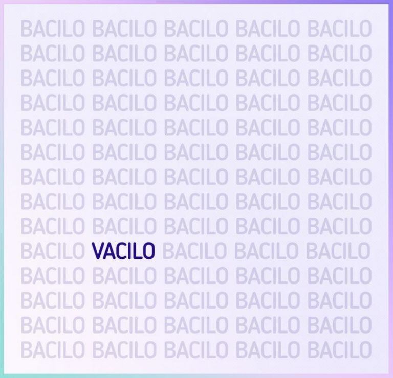 Este desafío visual de la palabra ‘VACILO’ requirió de paciencia y un afilado ojo.