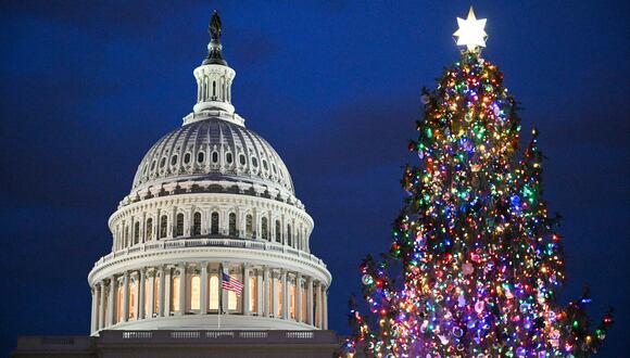 El árbol de Navidad del Capitolio se ve en el frente oeste del Capitolio de los Estados Unidos en Washington. (Foto de Mandel NGAN / AFP)