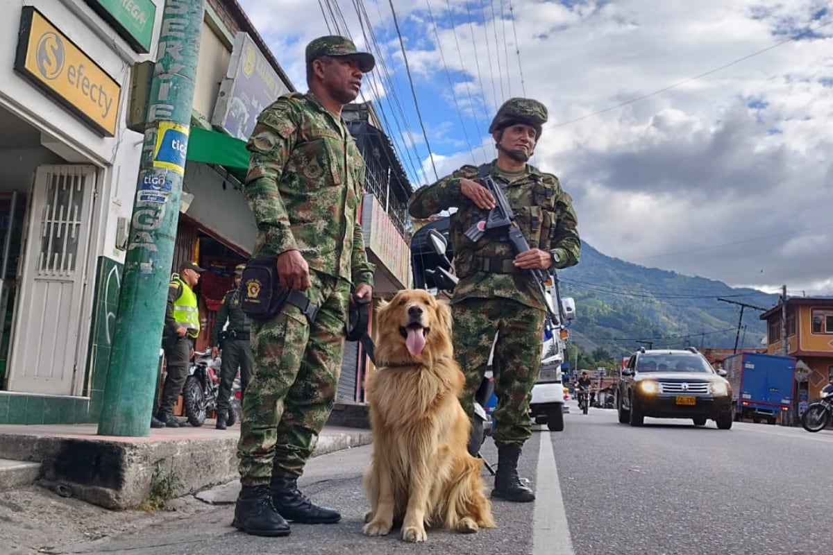 Historia viral. Killer, un perro del Ejército de Colombia, es custodiado las 24 horas del día, a raíz de amenazas de narcotraficantes. (Foto: Facebook/Ejército Nacional de Colombia).