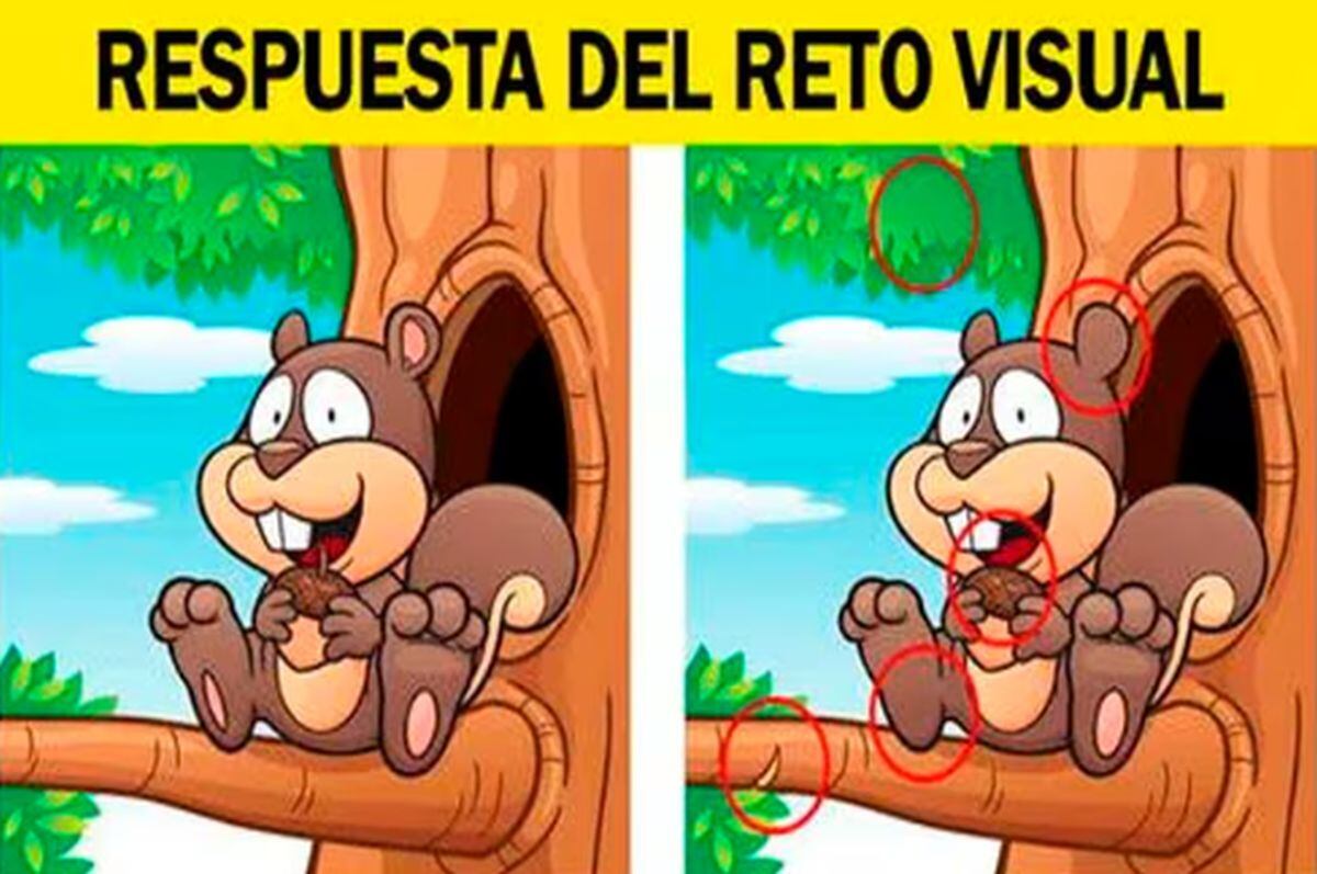 ACERTIJO VISUAL | Aquí te dejo la solución de este divertido reto viral. (Foto: genial.guru)